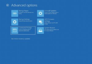 Windows 11/10 PC で高度な起動オプションにアクセスする方法