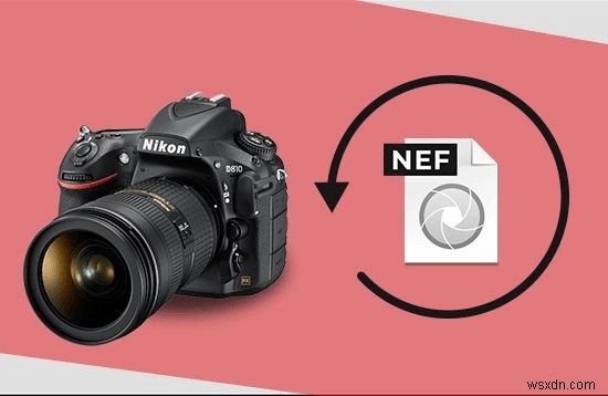 Nikon カメラから削除された写真を復元する方法