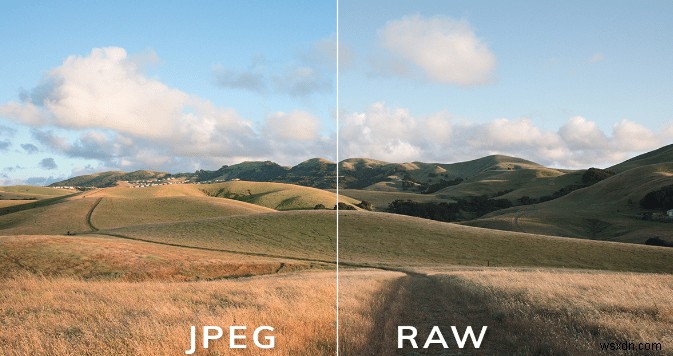 RAW と JPEG:どちらが最適で、その理由は?