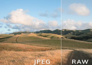 RAW と JPEG:どちらが最適で、その理由は?