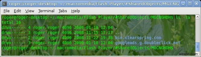 Flash Player を最大プライバシーとセキュリティ