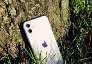 Dedo が iPhone 11 を実行 - 田舎者の悪党からのレビュー