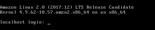Amazon Linux 2 仮想マシンのログインとパスワード