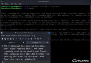 C で read() システム コールをマスターする:総合ガイド 