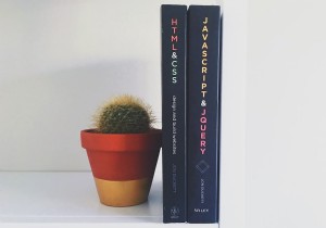 Python と JavaScript:開発者向けに主な違いを説明 