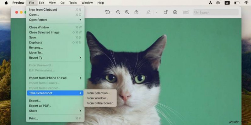 マスター Mac スクリーンショット テクニック:画面をキャプチャするための包括的なガイド 