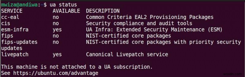 Ubuntu LTS が信頼性と長期サポートの点で通常のリリースに勝る理由 