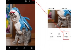 2024年にGoogleフォトをiPhoneのカメラロールに転送する方法 