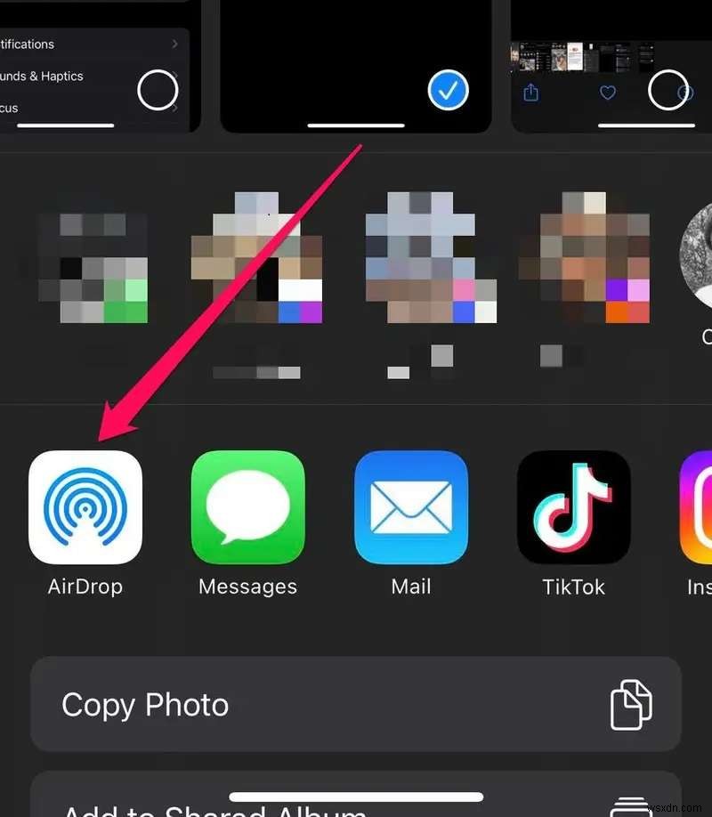 iPhone 16 へのシームレスな写真転送:簡単な手順と信頼できる方法 