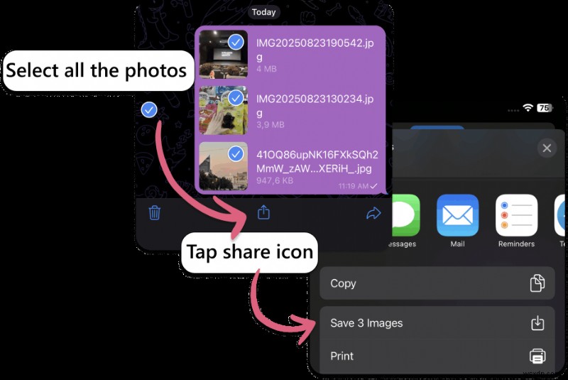 Samsung から iPhone に写真を簡単に転送:5 つの信頼できるアプリとステップバイステップ ガイド