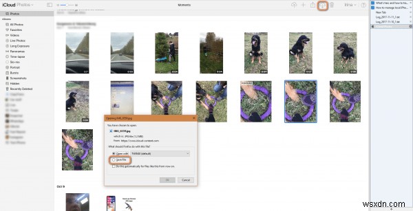 Windows で HEIC をマスター:2 つの簡単な転送方法 