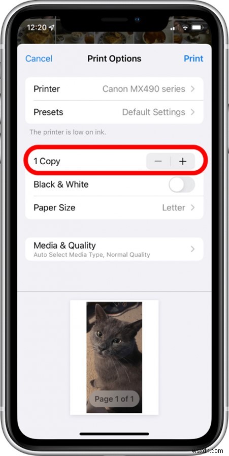 iCloud、iPhone、Mac の写真を印刷する:ステップバイステップガイド 