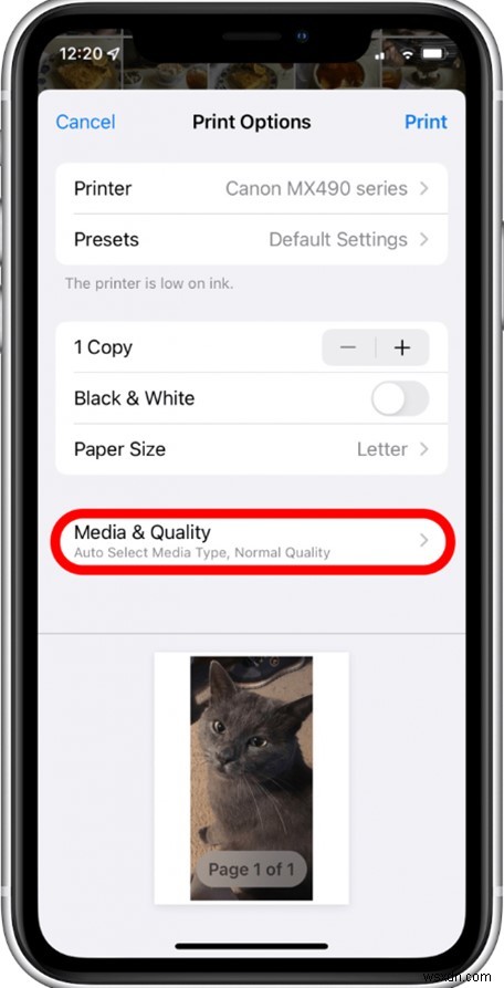 iCloud、iPhone、Mac の写真を印刷する:ステップバイステップガイド 