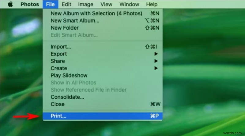 iCloud、iPhone、Mac の写真を印刷する:ステップバイステップガイド 