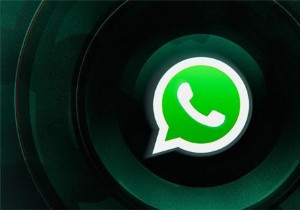 WhatsApp のローカル バックアップ検出問題を修正する – ステップバイステップ ガイド 