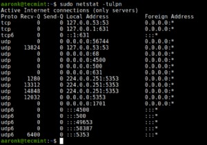 LinuxでTCP・UDPポートをリアルタイムに監視する方法