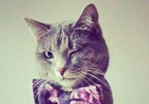 C 拡張機能から Ruby メソッドを呼び出す際のメモリ リークを防ぐ 