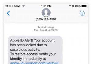 iPhone のセキュリティ:デバイスはウイルスに感染する可能性がありますか? 