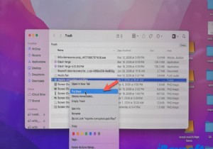 Mac で USB データを回復する方法:ステップバイステップガイド 