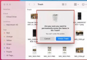 Mac のゴミ箱を空にする方法:ステップバイステップ ガイド 