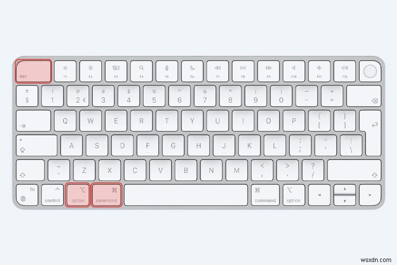 Mac 上のフリーフォーム ストレージを削減:スペースを解放するための実証済みの手順 