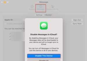 Mac のストレージを解放する:iPhone に影響を与えずに Mac 上のメッセージを削除します 