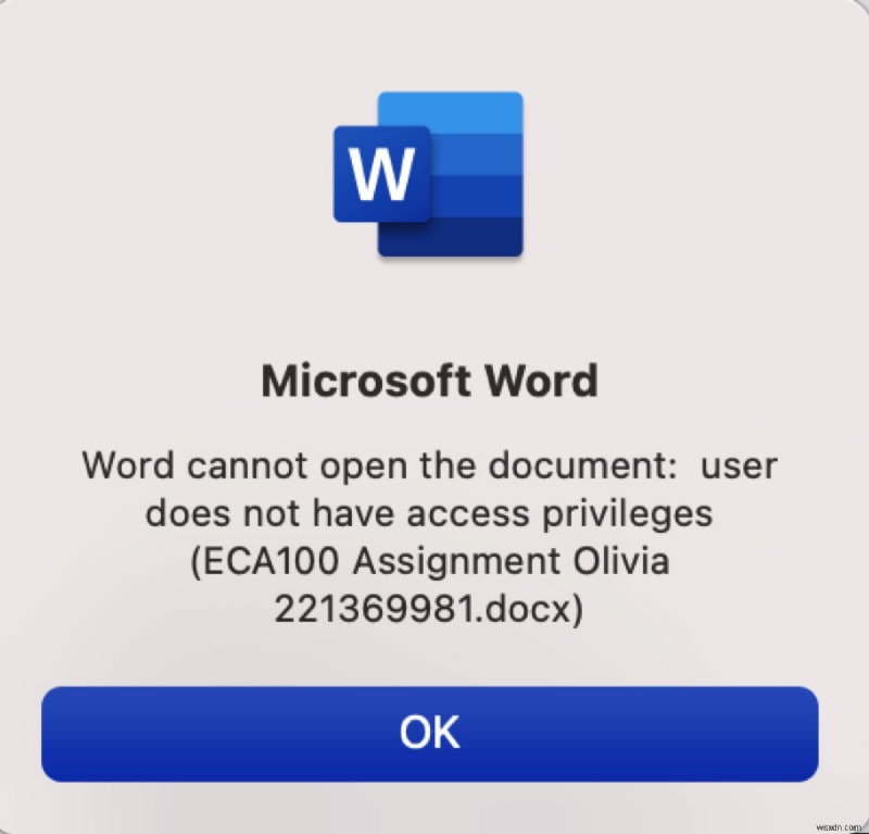 Windows および Mac での「Word でドキュメントを開けません」アクセス権限の問題を修正する
