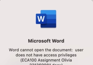 Windows および Mac での「Word でドキュメントを開けません」アクセス権限の問題を修正する 