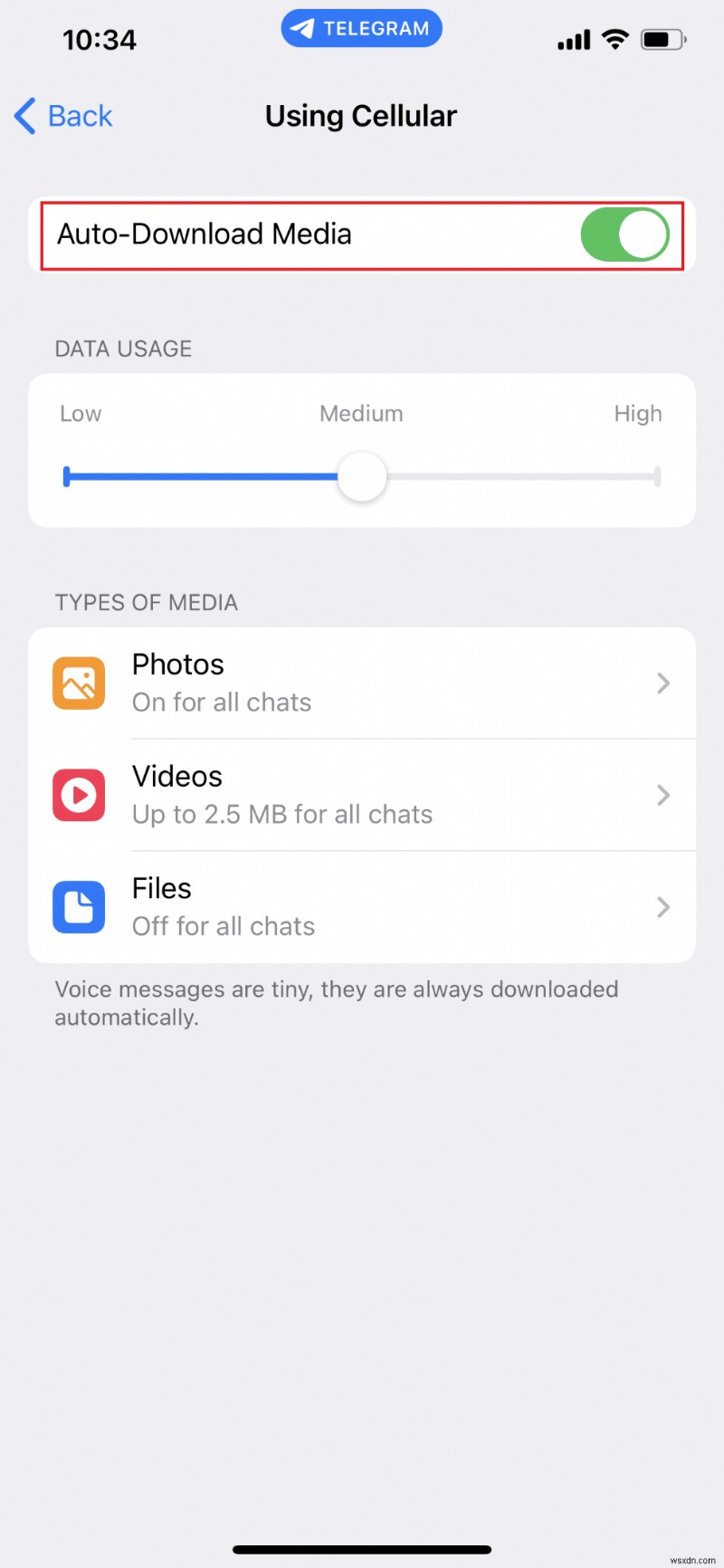 iPhone の Telegram キャッシュを簡単にクリアする方法 – ステップバイステップガイド