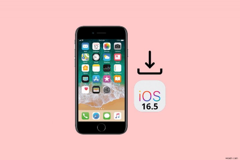 iPhone に iOS 16.5 ベータ版を安全にダウンロードしてインストールする方法 