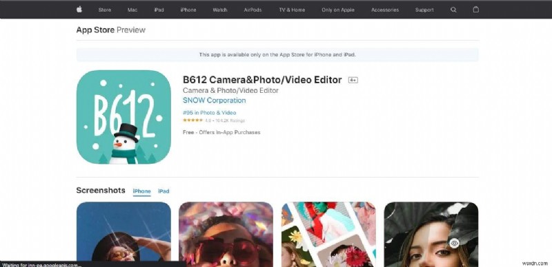 見事な写真変換を実現する iOS 顔結合アプリ トップ 12
