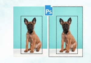 Photoshopで選択範囲を反転する3つの確実な方法|ショートカットあり・なし完全解説
