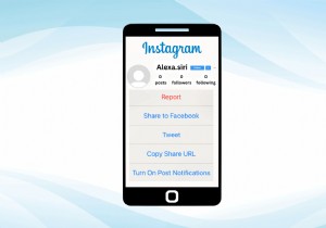 ステップバイステップガイド:非アクティブな Instagram アカウントを効果的に報告する 