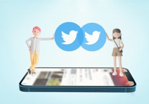 Twitter アカウントをシームレスに統合する:ステップバイステップ ガイド 