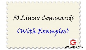 トップ 50 の必須 Unix コマンド:実践ガイド 